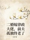 二婚嫁律政大佬,前夫孤独终老了
