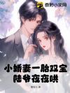 小娇妻一胎双宝,陆爷夜夜哄!