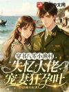 穿书八零小渔村,失忆大佬宠妻狂孕吐