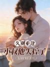 久别重逢,小叔他失控了