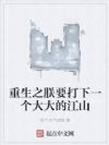 重生之朕要打下一个大大的江山