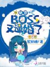 �촩BOSS�ֱƻ���