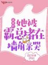 �ӻ���������ܶ���ǽ���׿�