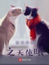 ����ѧԺ֮��ʹ��