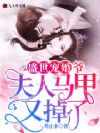 盛世宠婚:爷,夫人马甲又掉了!