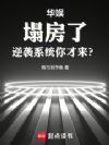 ���飺�����ˣ���Ϯϵͳ�������