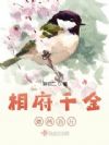 �ฮǧ�������ٽ�