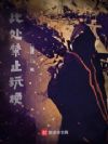 �˴���ֹ�湣